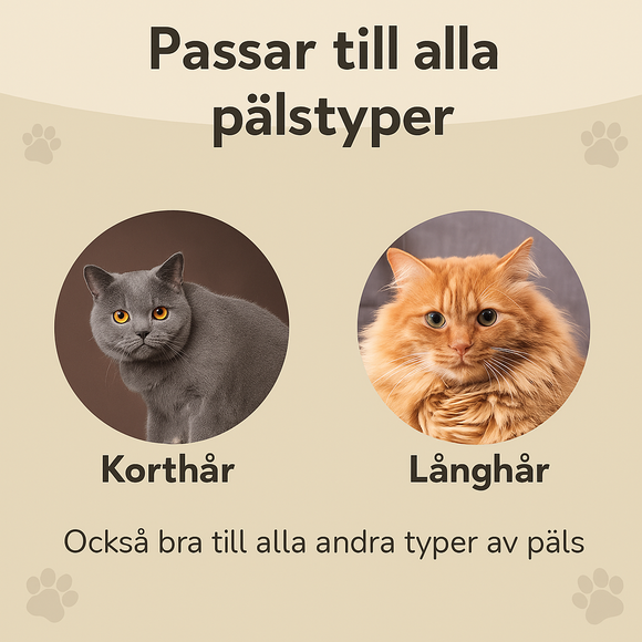 Feature product image